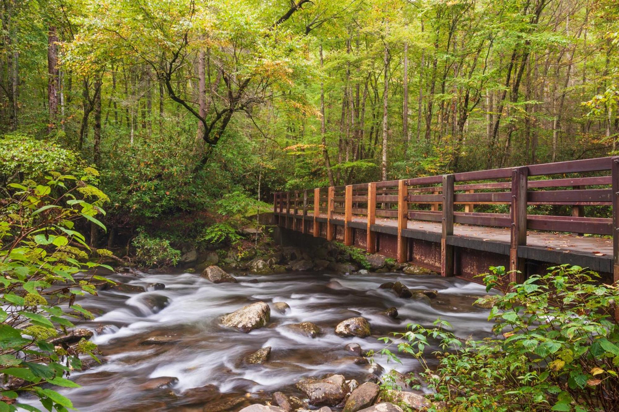 Suite Sensations, Hot Tub, Pool Table, 1089 Free Tickets Each Paid Day, Dollywood And More Pigeon Forge Buitenkant foto